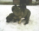 IMG0398A