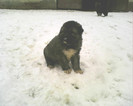 IMG0399A