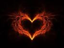 images (5)