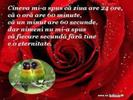 images (45)