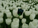192029_171662879552132_100001252637430_435088_254091_o