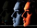 16786-preity-zinta