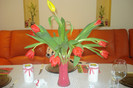 DSC00341