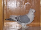 DSCN0179