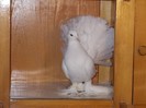 DSCN0226