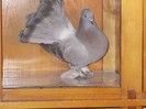 DSCN0228