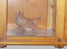 DSCN0243