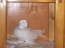 DSCN0256