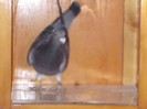 DSCN0259