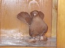 DSCN0266