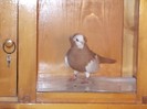 DSCN0305