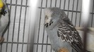 DSCN1862