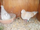 SAM_1461