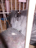 DSCN0629