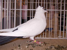 DSCN0640