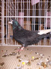 DSCN0638