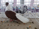 DSCN0772