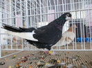 DSCN0786