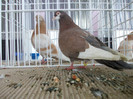 DSCN0787