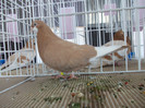DSCN0785