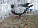 DSCN0790