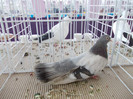 DSCN0774