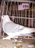 DSCN0696