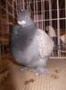 DSCN0697