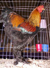 DSCN0676