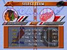 NHL 1996