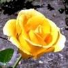 images (18)