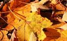 images (28)