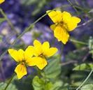 images (29)