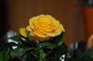 images (48)