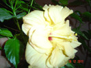 poze 554