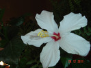 poze 553
