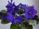 DSCN5544