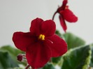 DSCN5663
