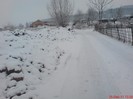 DSC03384