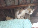 DSC03389
