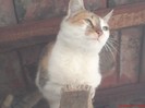 DSC03390