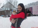 DSC03393