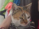 DSC03415