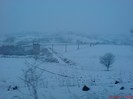 DSC03438