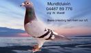 776hintergrundklein
