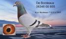 855hintergrundklein