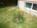DSC03757