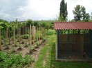 DSC03761