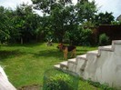 DSC03774