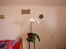 DSC03778